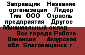 Заправщик › Название организации ­ Лидер Тим, ООО › Отрасль предприятия ­ Другое › Минимальный оклад ­ 23 000 - Все города Работа » Вакансии   . Амурская обл.,Благовещенск г.